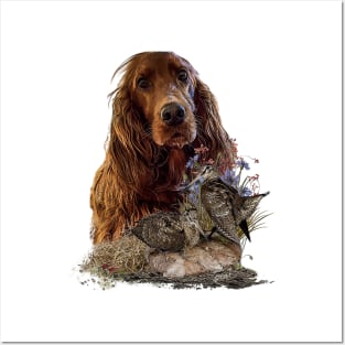 Irish Setter Posters and Art